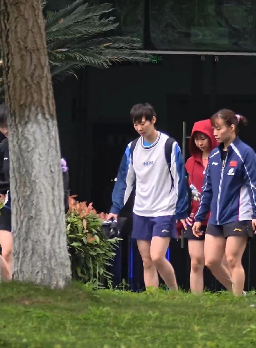 成都国乒训练基地，王曼昱今日上训。与女队队员们一起上训路上，曼昱一直和石洵瑶聊天