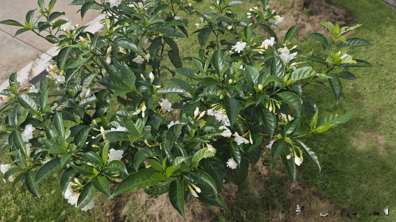 一个小时花了1000多块。再过几天要回国，去公司总部参加培训，说实话，我很珍惜
