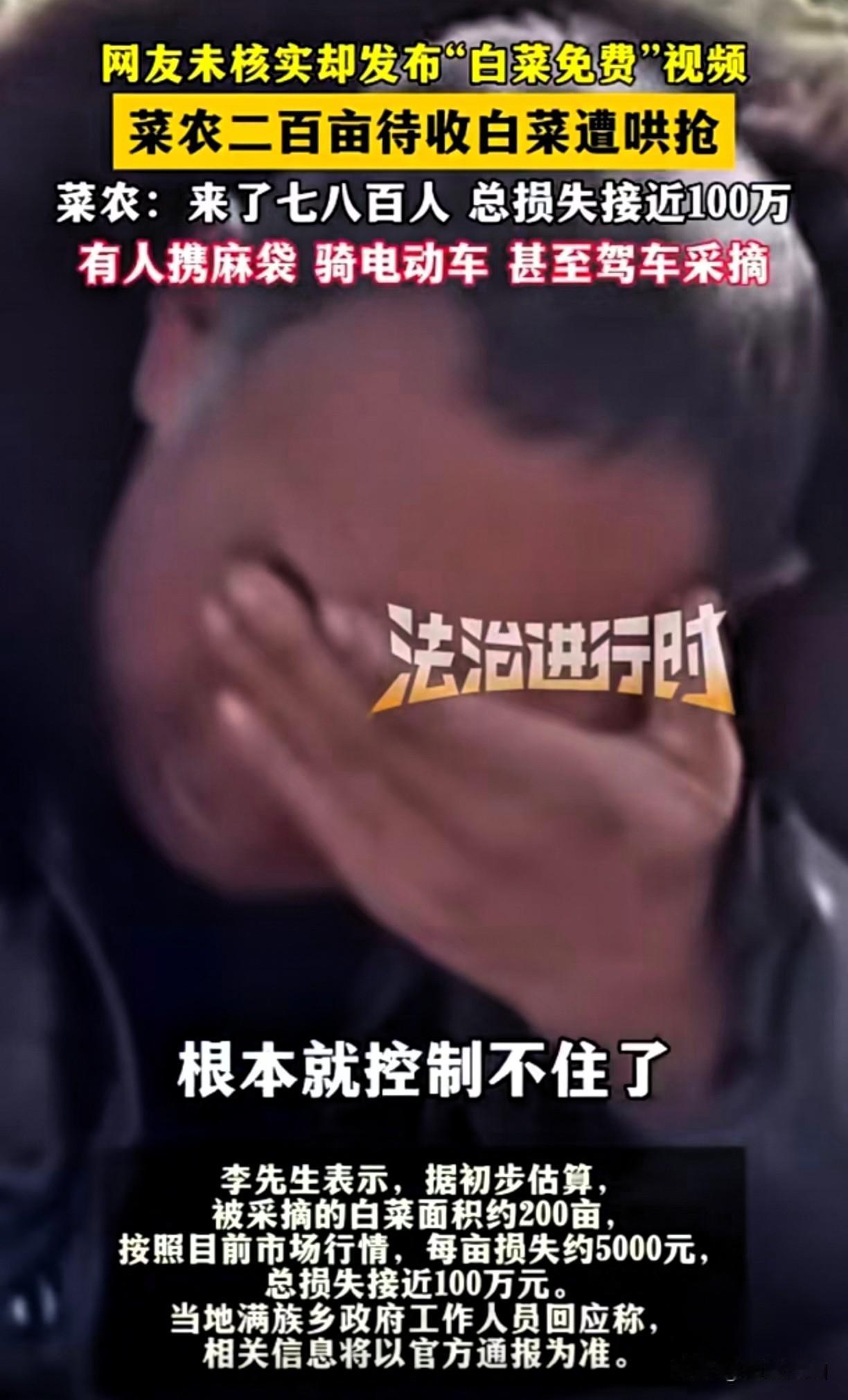 依靠牺牲菜农百万利益博的是流量吗？赤峰200亩白菜一夜被哄抢一空，菜农损失