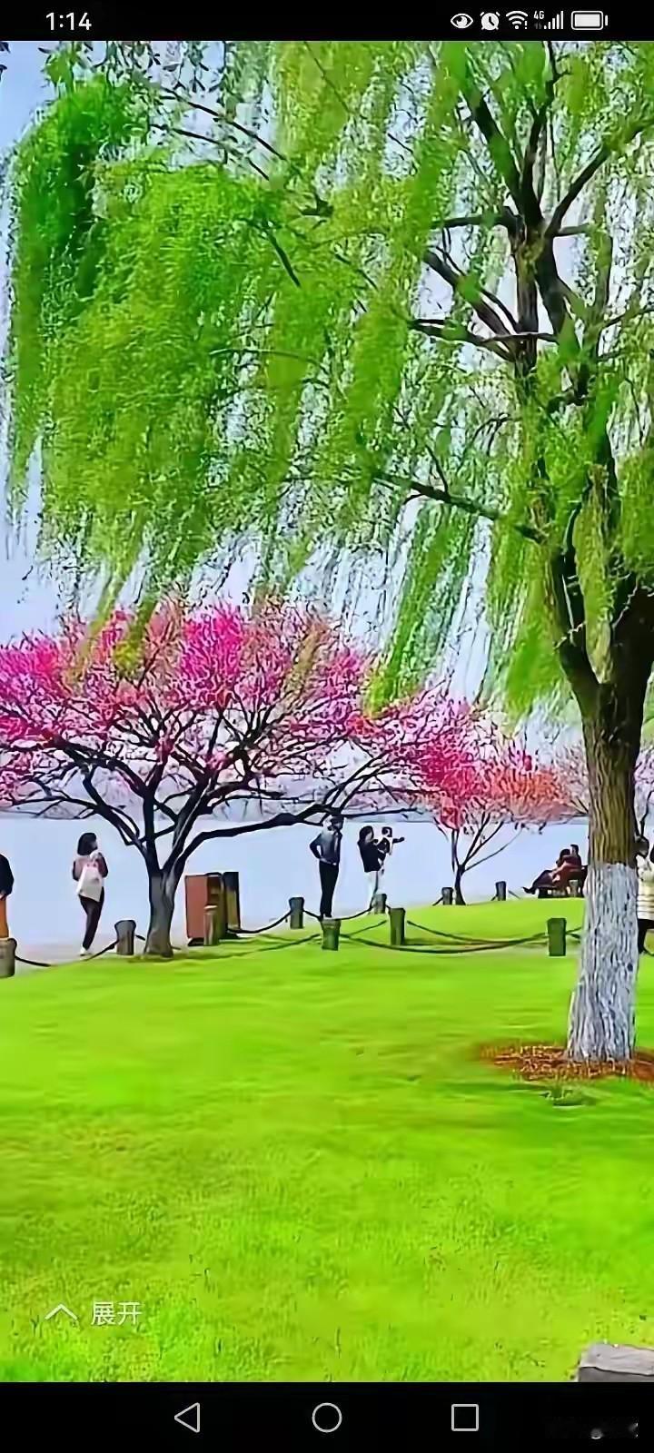 上联:数九寒天霜雪冷下联:三春暖阳草木荣横批:冬去春来