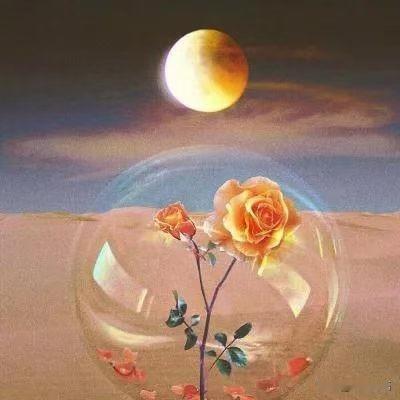 一位医生说：“当你没有性欲的时候，说明你已经老了！​性欲这个东西，很多人觉得