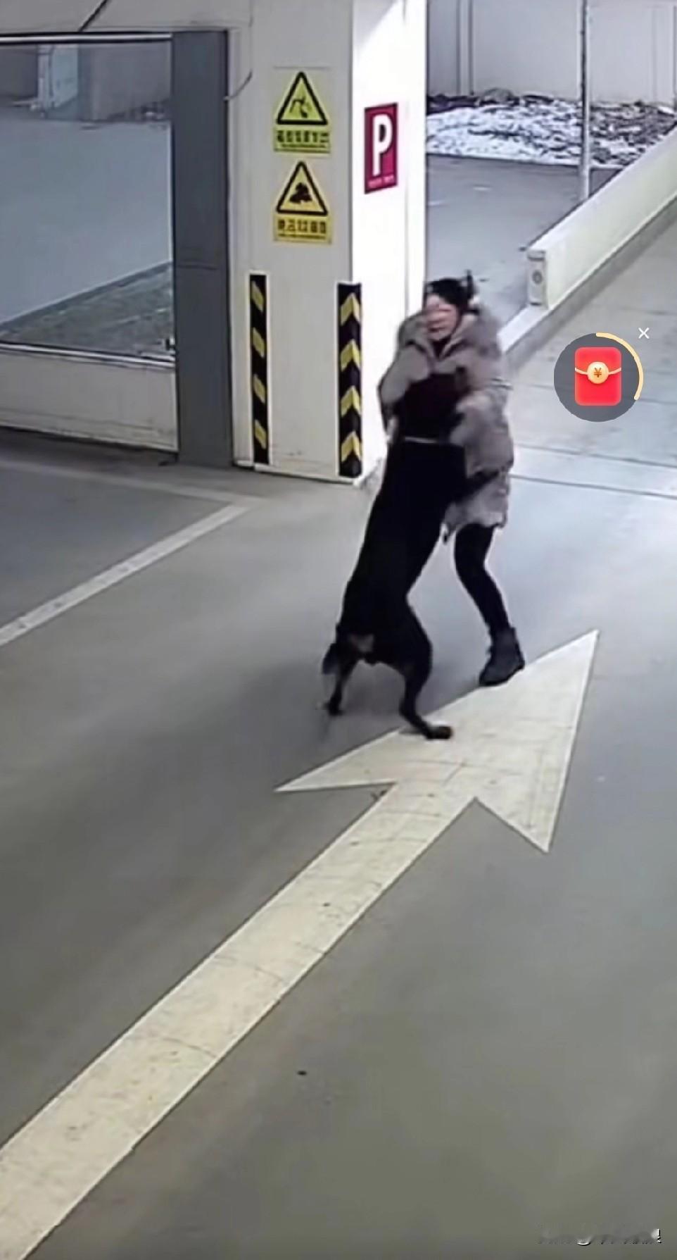 女子正走在马路上，一只流浪狗突然冲上来将她往后推。女子起初还以为碰到了一条恶狗，