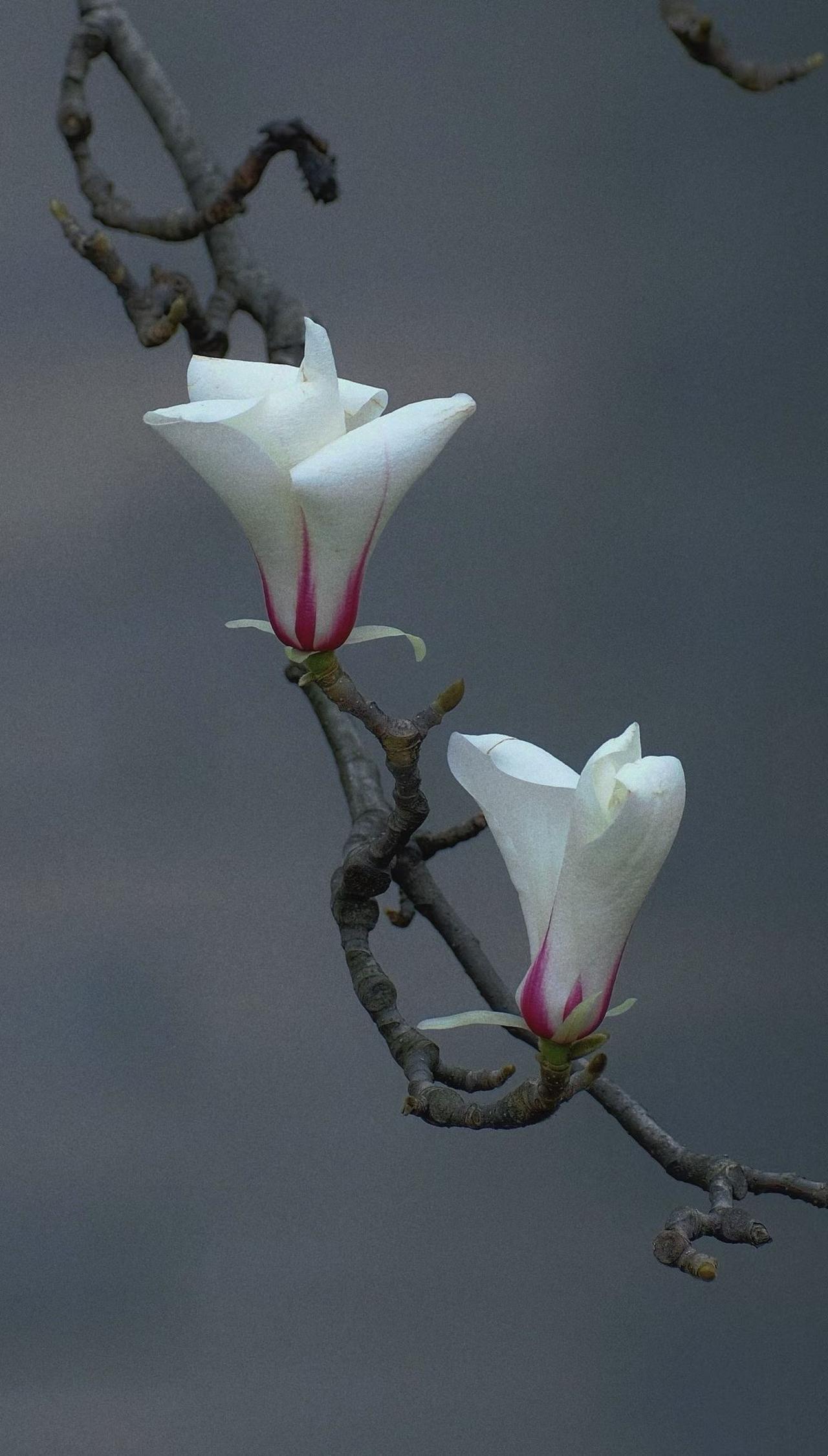 都说婆媳关系难处，那你们用对方式方法了吗？今天儿子吃多积了食，孩子还没放学，