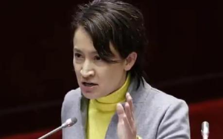 箫美琴恼羞成怒，终于忍不住发话了！ 1月29日，箫美琴对媒体说:“国民党赴京