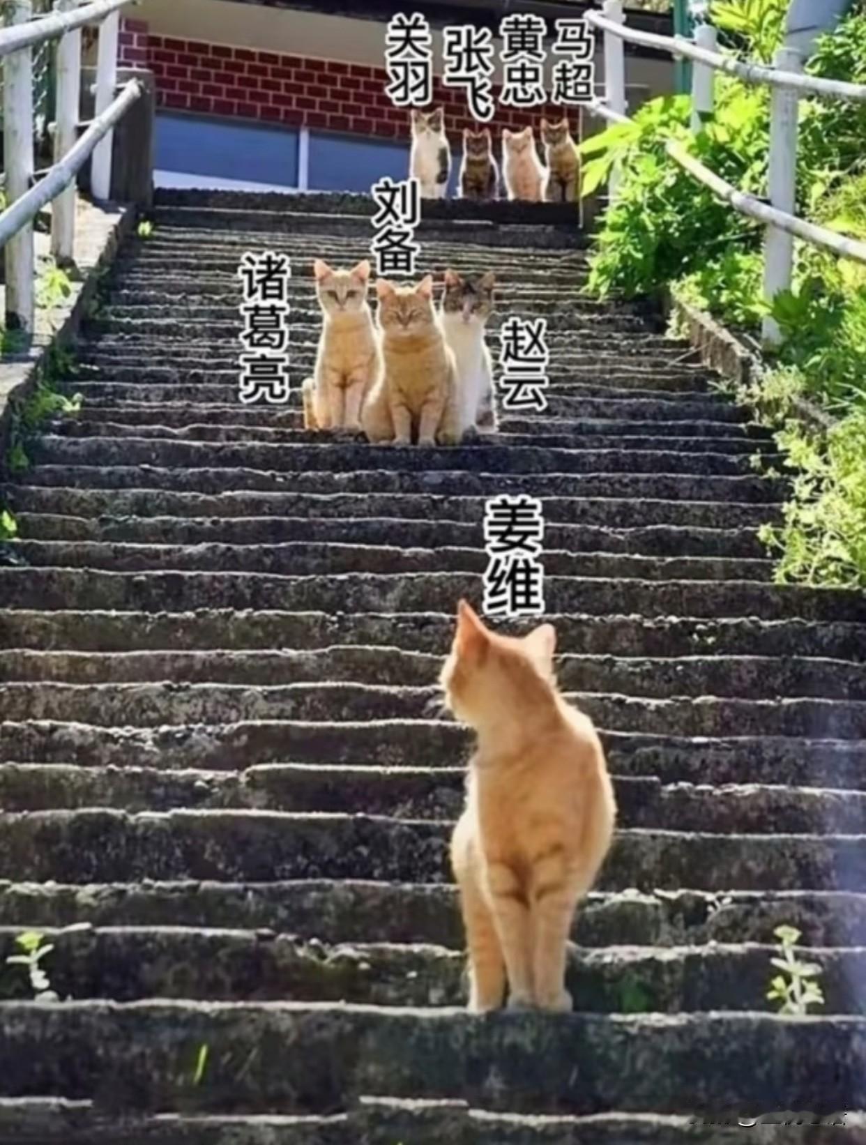 《出师表》正解……婵儿，你爹走得早，临走把你全权托付给我。从今天起，我就