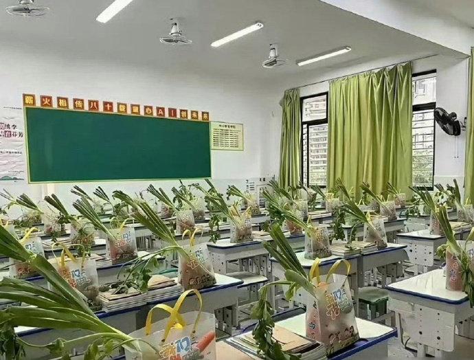 教室课桌全摆上绿植，这操作看懵了！猜猜是老师要求还是家委自发？