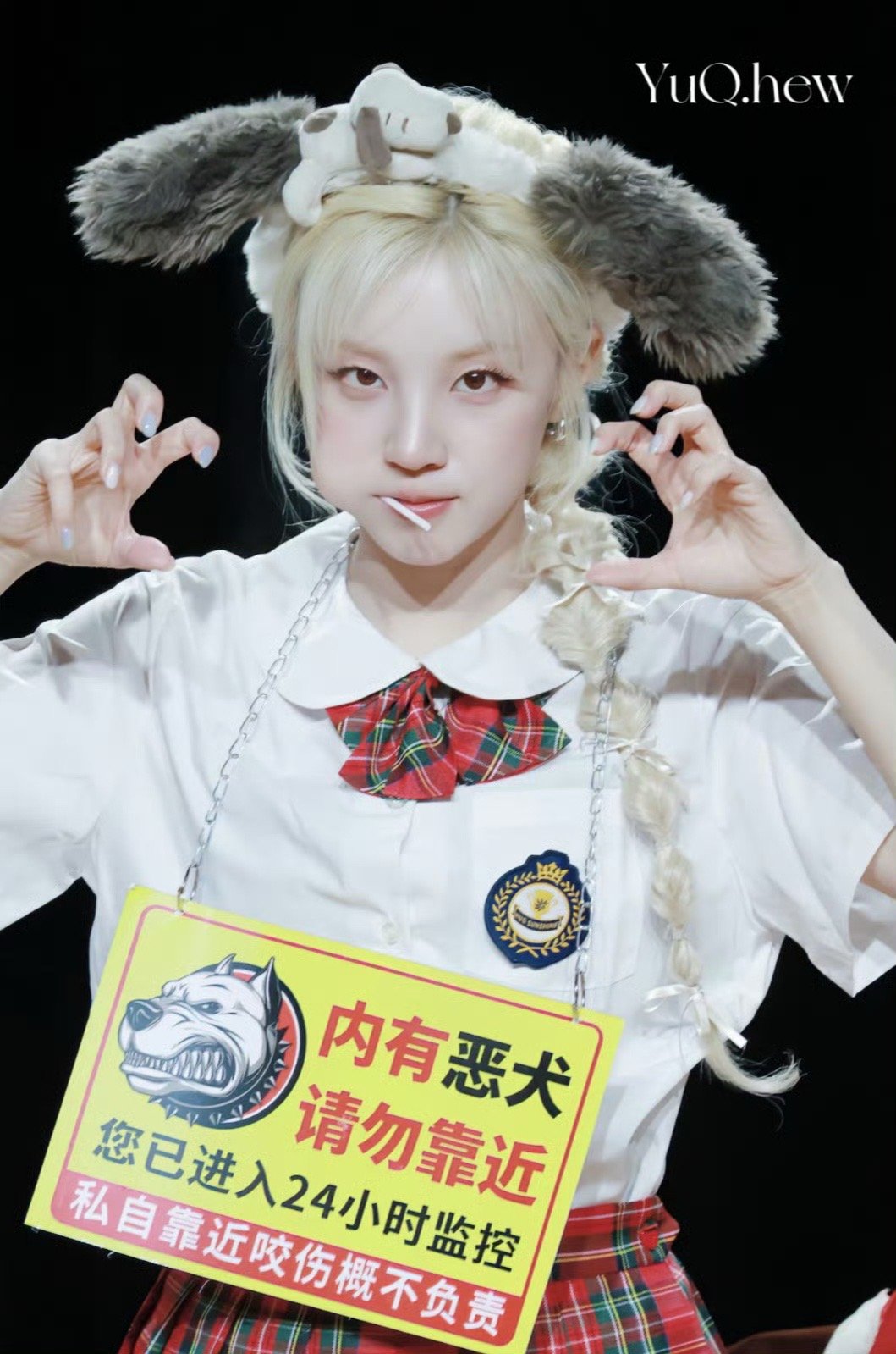 宋雨琦的狗塑走上了斗鸡赛道从“迷糊小狗”到“炸毛斗鸡”，宋雨琦的每个标签都来自