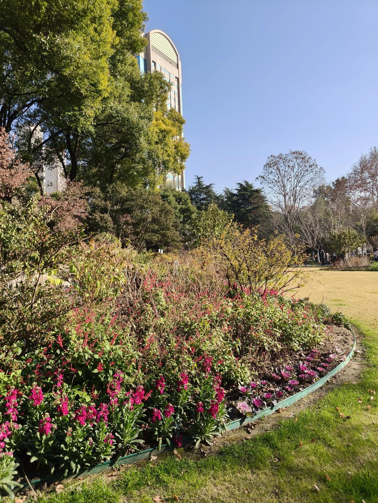 冬日公园散步随手拍实景图分享！鲁迅公园走一圈，昨天还爬了后面的假山，话说这么