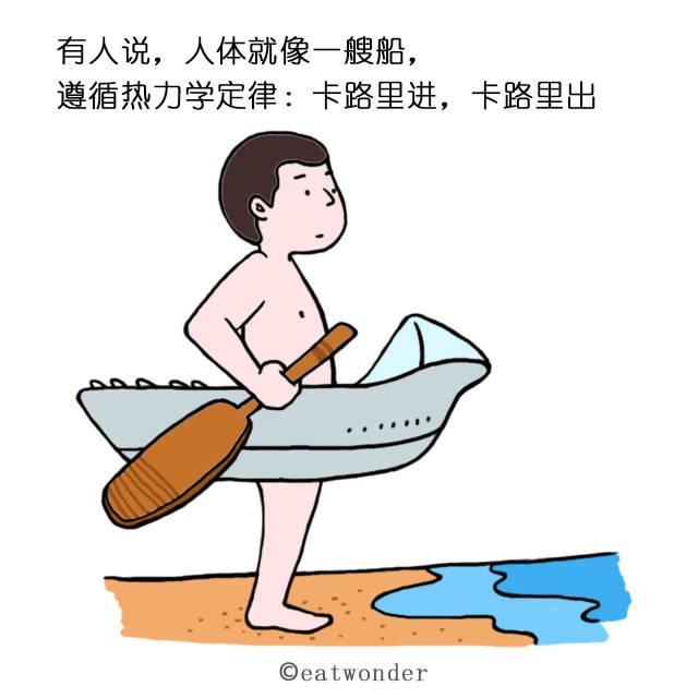 营养师都该知道的减肥原理! 太全了!