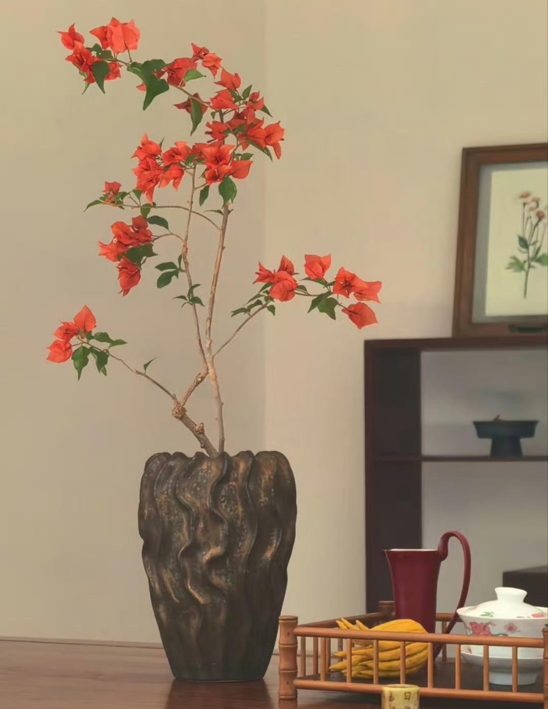 “一室春光百事欢…”​​​摄影插花美图