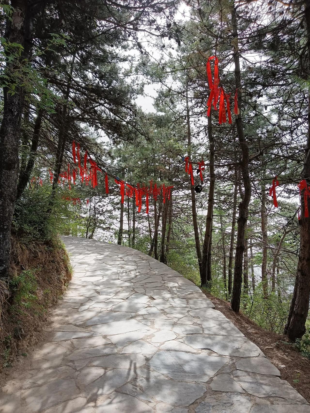 高人论道。在卢（氏）栾（川）交界的二龙湾景区，有个叫任某娟的女人，结婚十几年了，