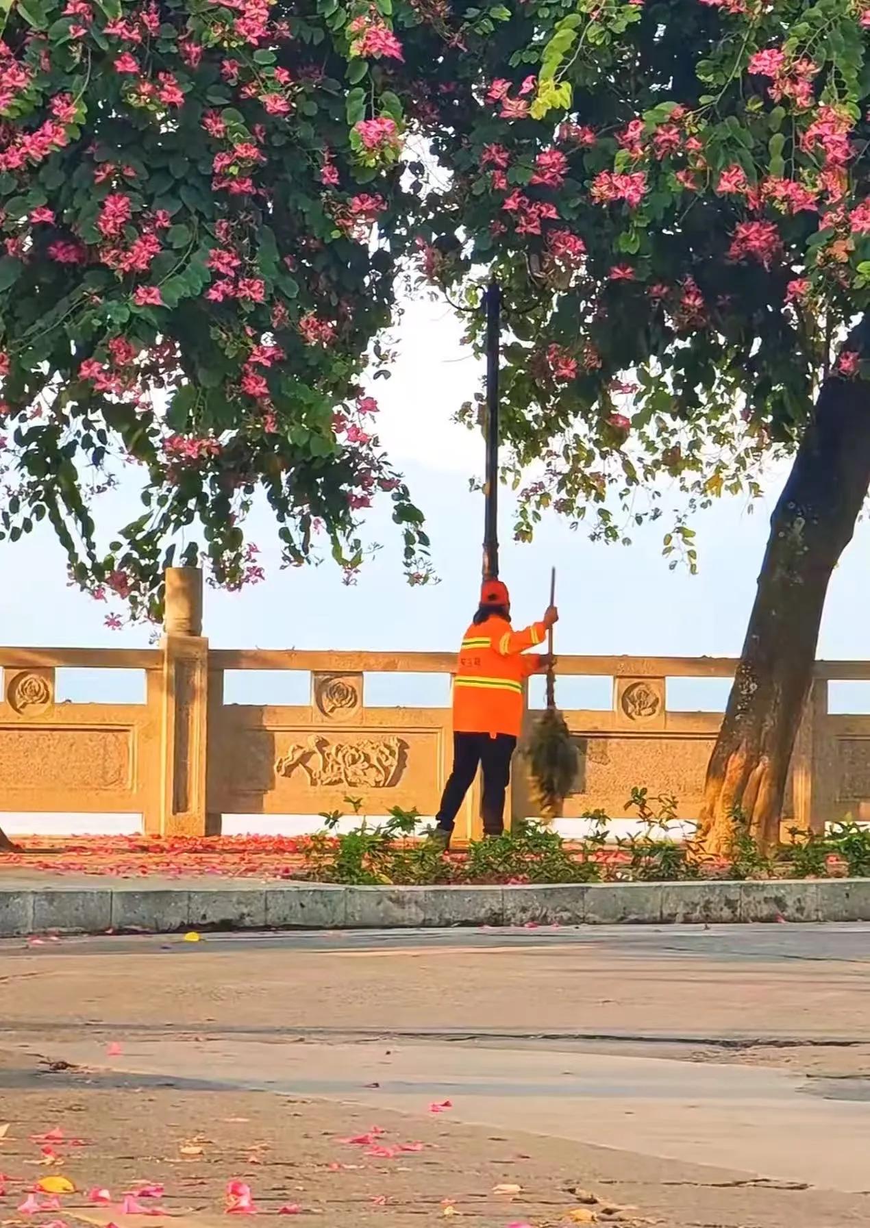 “山东一位环卫工大姐被很多人记住了！”清晨扫街时，她在绿化带里发现一个穿校服的孩