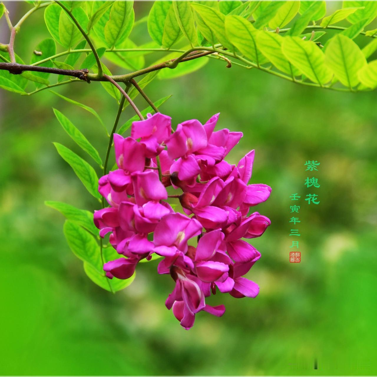 京东方技术分析！京东方今天一开盘平开高走，至写作本文时的9.52时，上涨8.