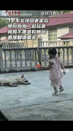 万万没想到！江西九江一岁半女孩回老家，看见院中熟睡的狗子，就跑过去想和狗子玩，狗