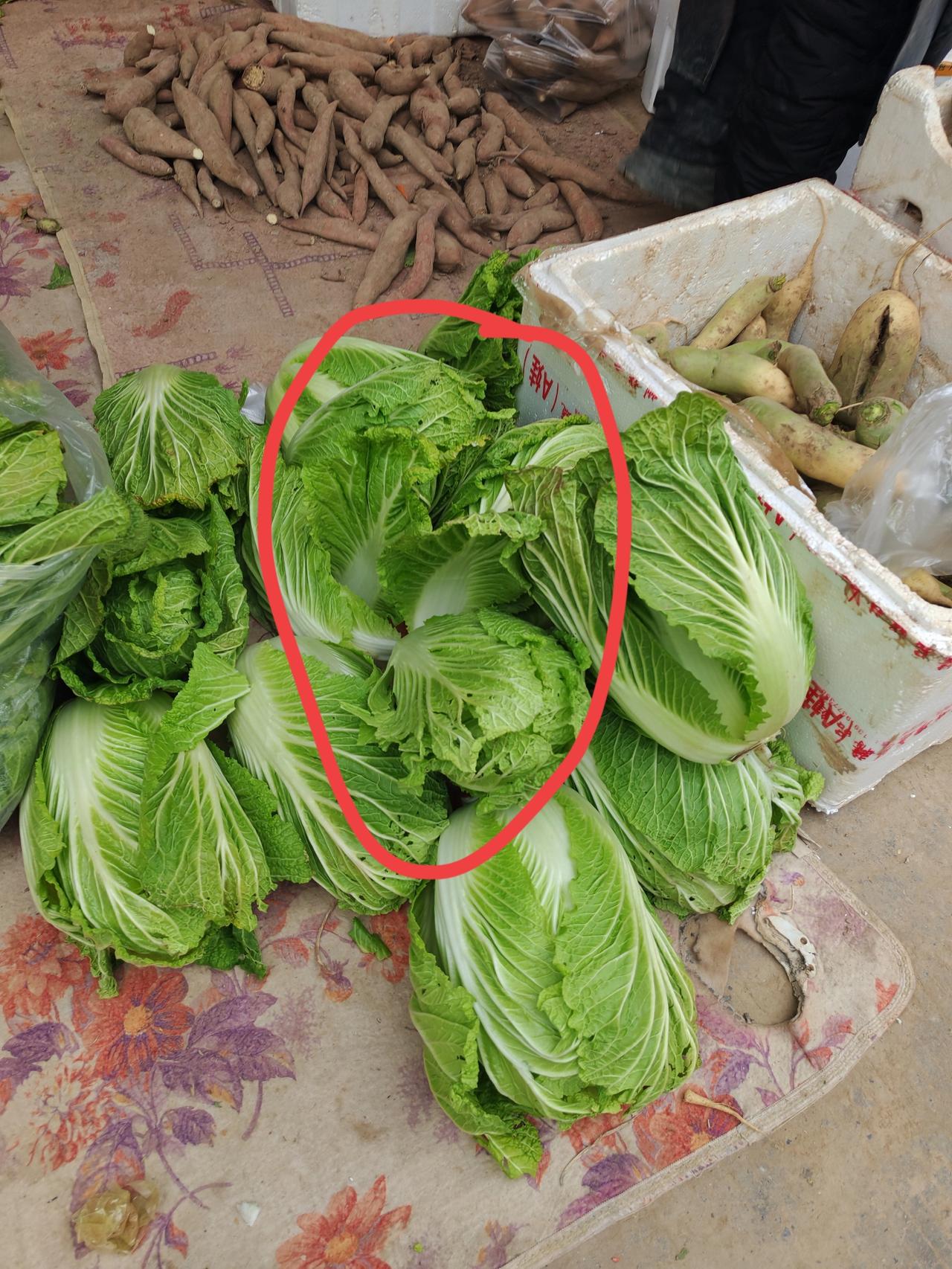 聪明的卖菜人1月17日，坐标西安。今天周末睡到自然醒，我外出吃午饭，发现路边卖