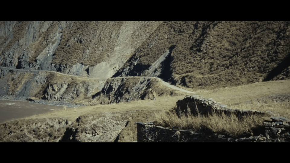 生命树收视逆跌《生命树》次日收视和剧情一样也开始突突突了，越来越多新观众入场了