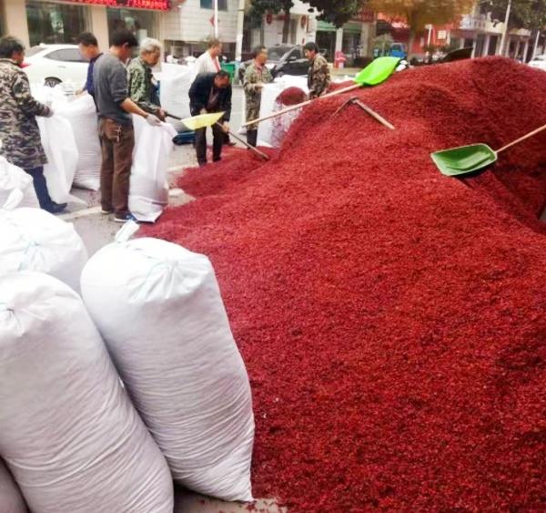 金价暴涨！药市影响几何？最近金价破千，朋友圈不少做药材的老哥激动了，问我：药市