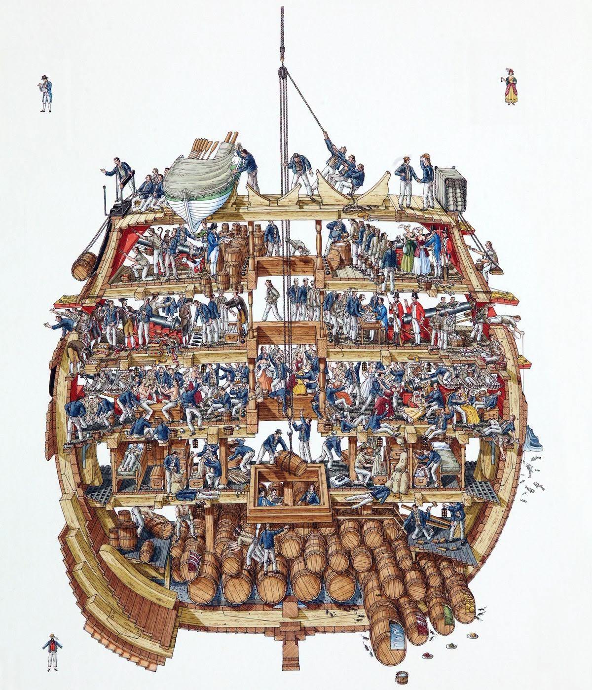 这幅细节拉满的剖面插画出自知名插画师斯蒂芬·比斯蒂之手，专门还原十九世纪风帆战列