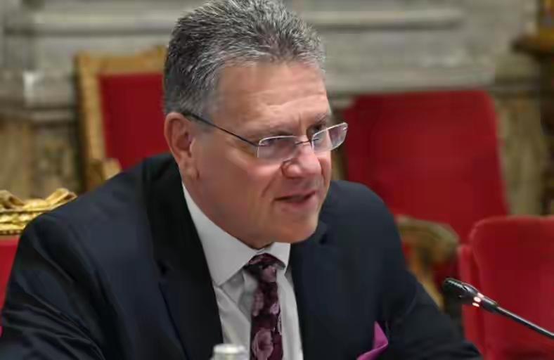 欧盟不满中国稀土出口管制，频频约见中方代表，表示不满：欧盟向中国提交了200