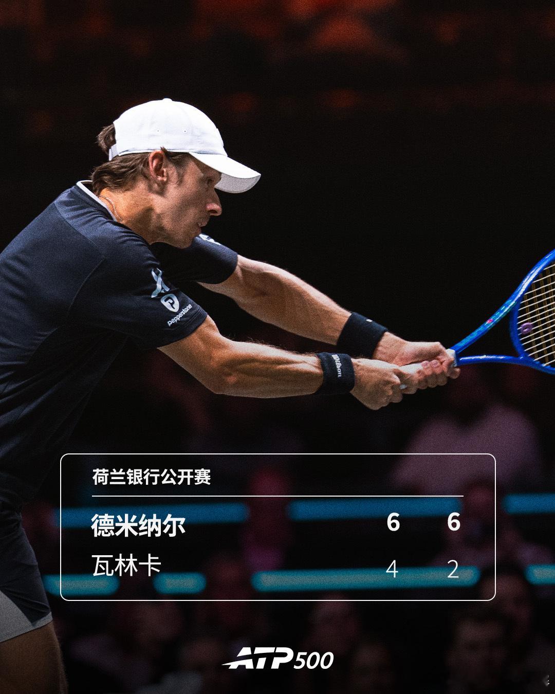 德米纳尔击败瓦林卡ATP500荷兰银行公开赛在鹿特丹继续第二轮争夺，头号种子德