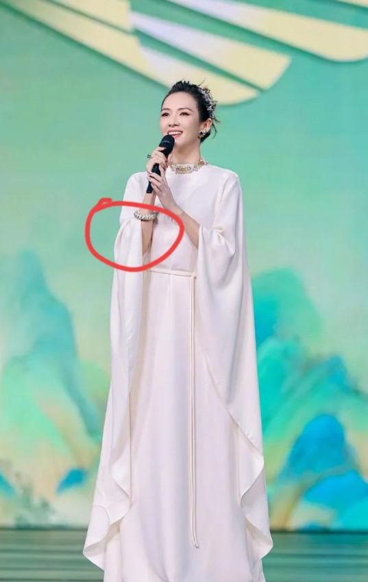 章子怡呀章子怡，46岁的人了，怎么还那么争强好胜呢？你难道就不怕，有人嫉妒