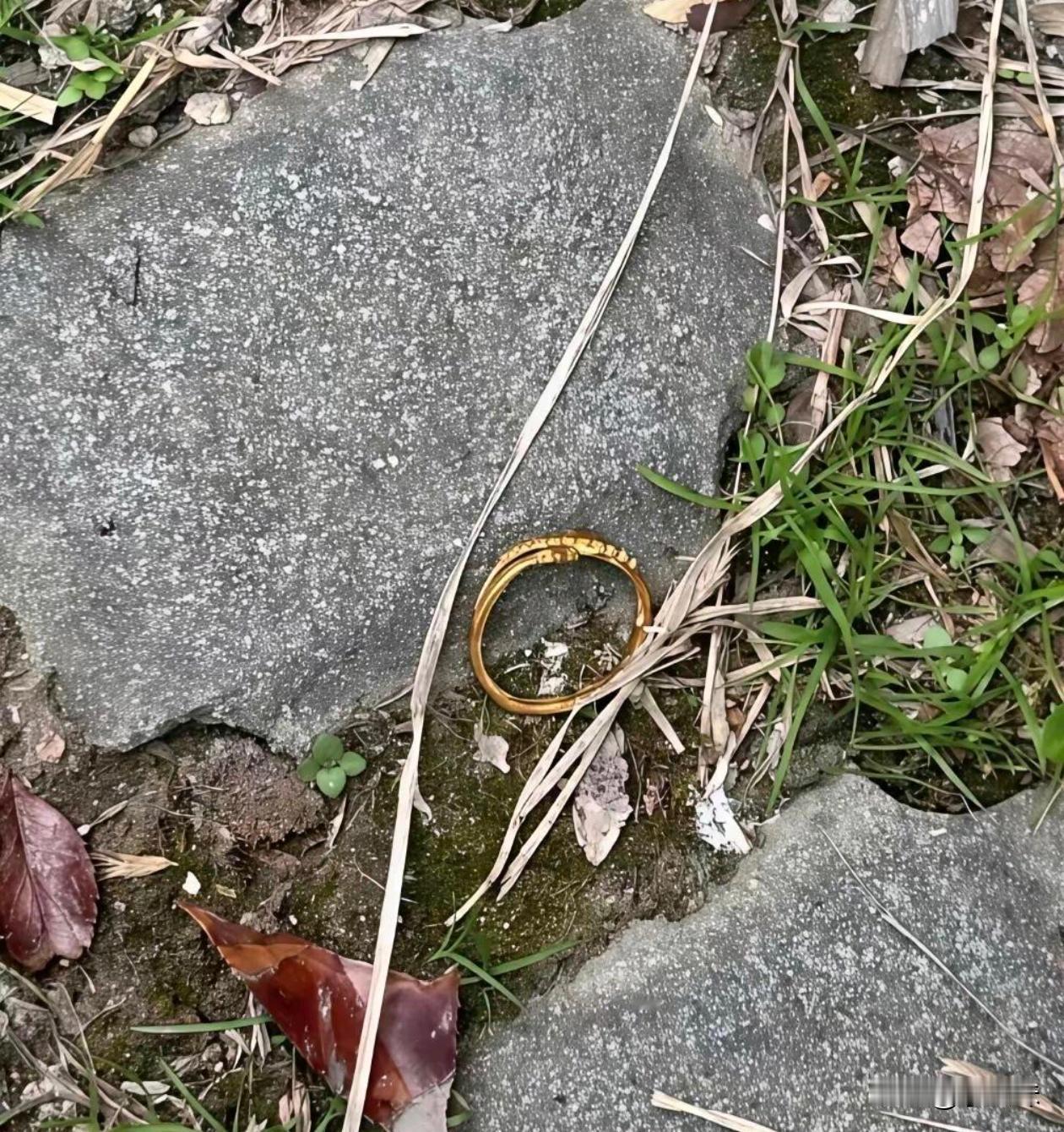 爬山看到这个可以捡回家吗？