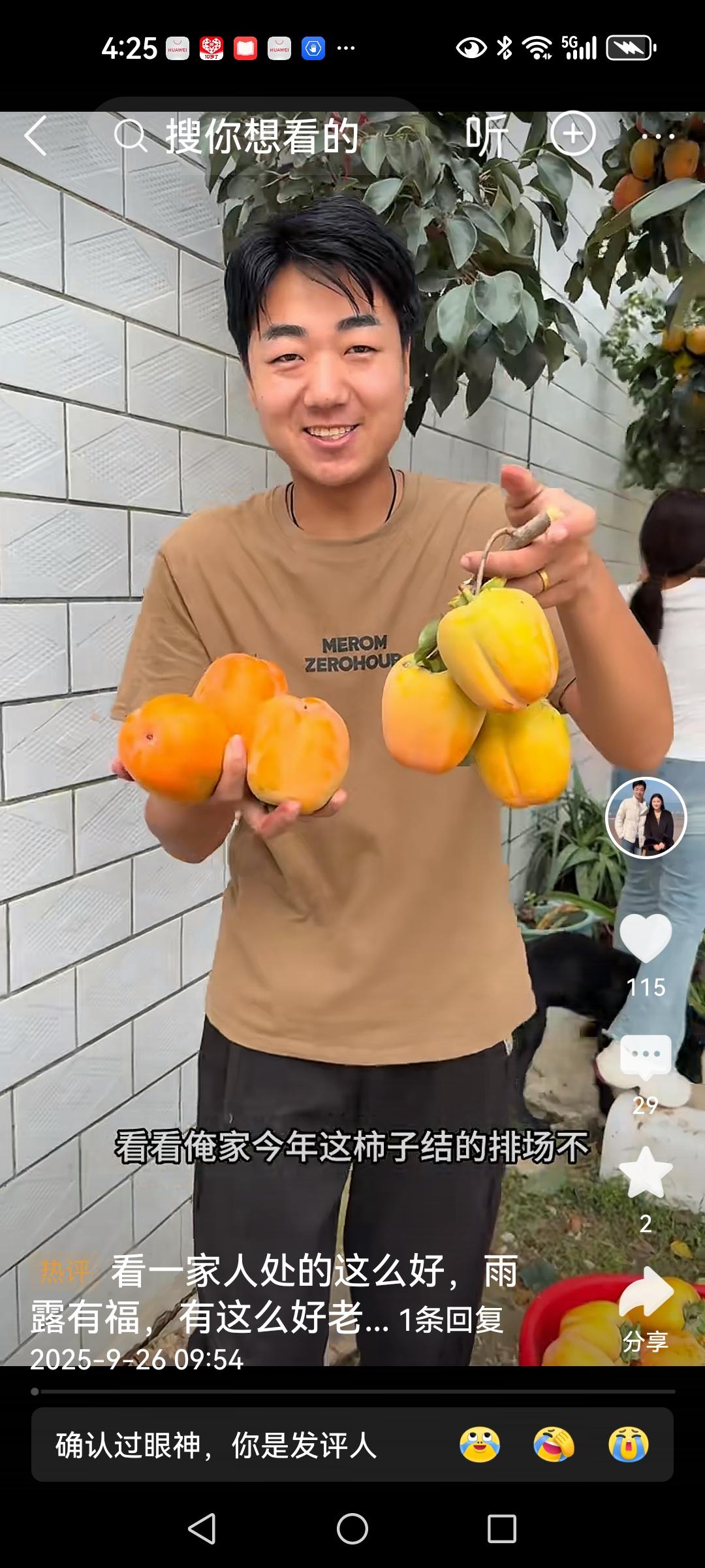 丰收的喜悦灵洋家今年的柿子树大丰收，灵洋，雨露和灵洋妈高兴的摘了一筐又一筐，灵
