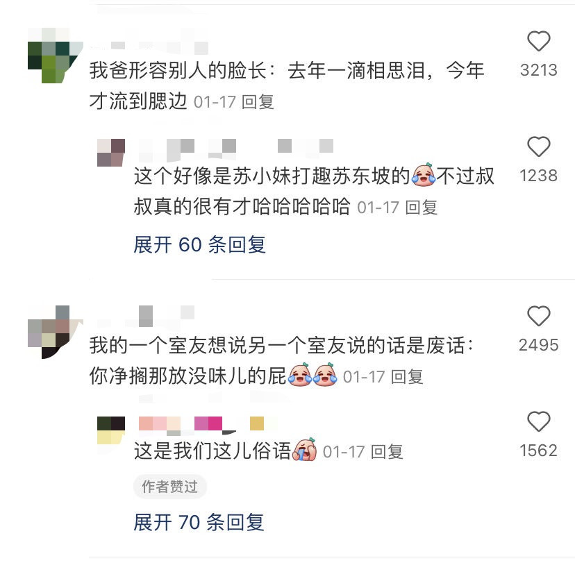 教教我！东北人怎么可以开口就有梗