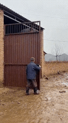 这匹马要是在古代，估计至少也得是大将军的坐骑。