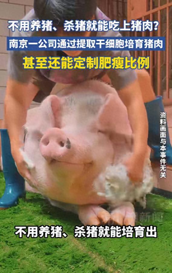 不用养猪也能吃到猪肉了！只需要几天，新鲜猪肉就能凭空“长”出来。最神的是，你想吃