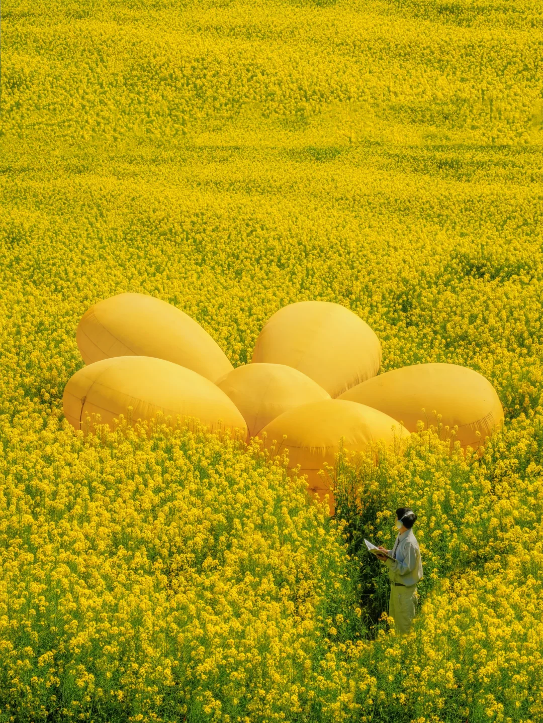 花海+古镇🌞我最喜欢的成都赏春路线出现了