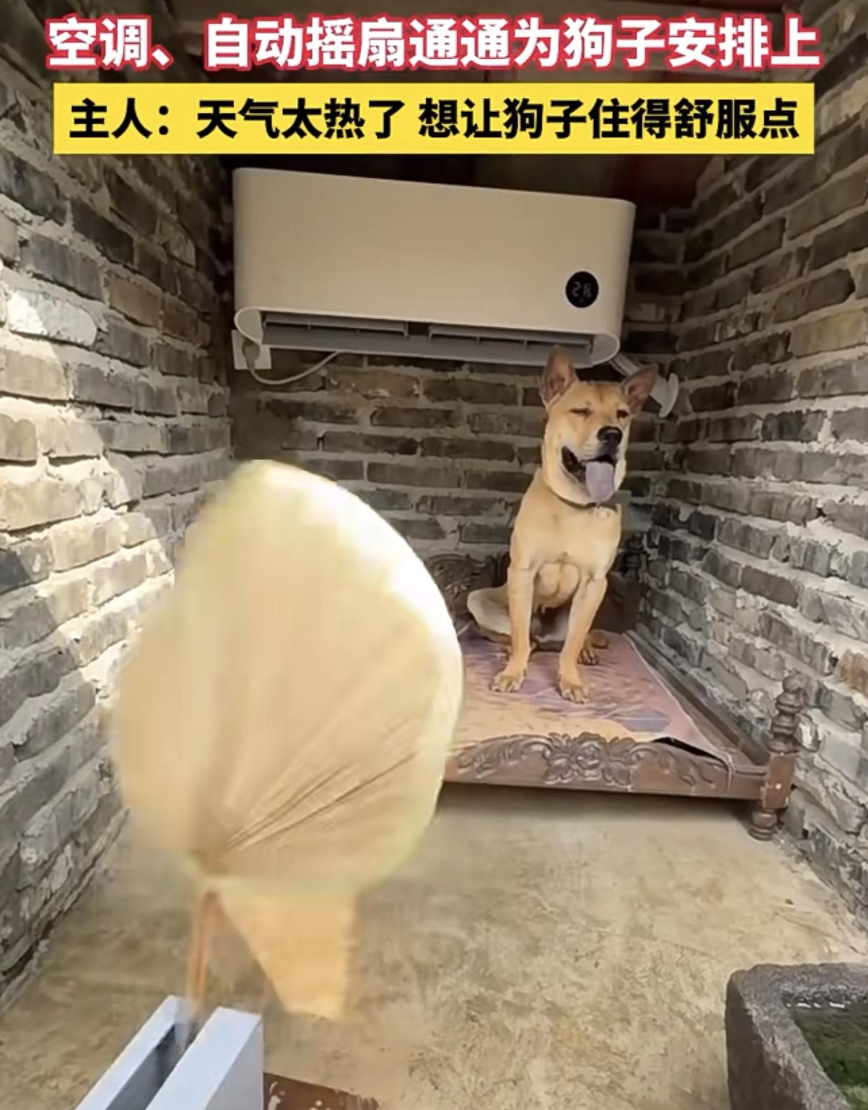 这几天欧洲人确实有点“破防”，倒不是因为球队输球，而是看到中国猪儿、狗儿都能吹上
