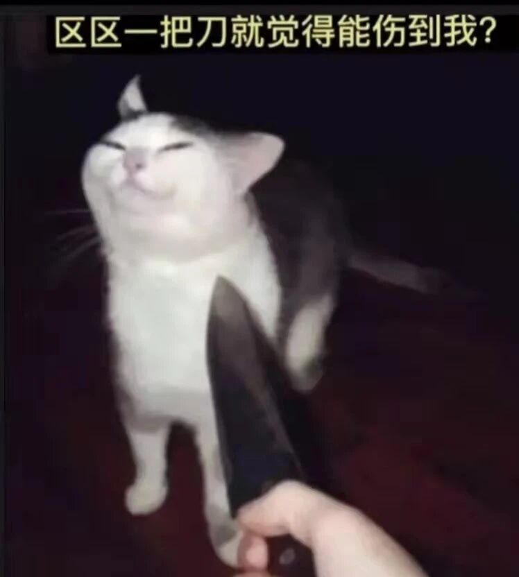 修猫：我承认我刚才的声音有点大