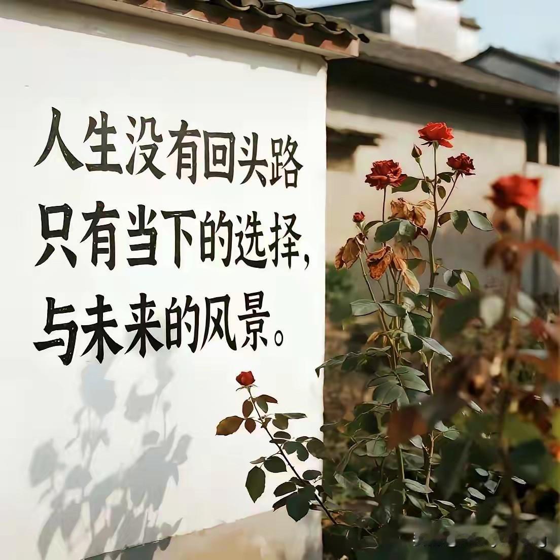 务必记得独处、睡眠与阅读是所有人的几种充电方式！分享一段话：长时间深度的独