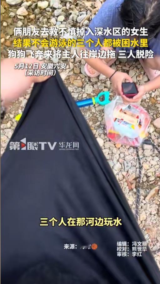 “毛孩子太棒了！”5月12日报道，安徽六安，三个不会游泳的人带着狗狗去河边玩水，