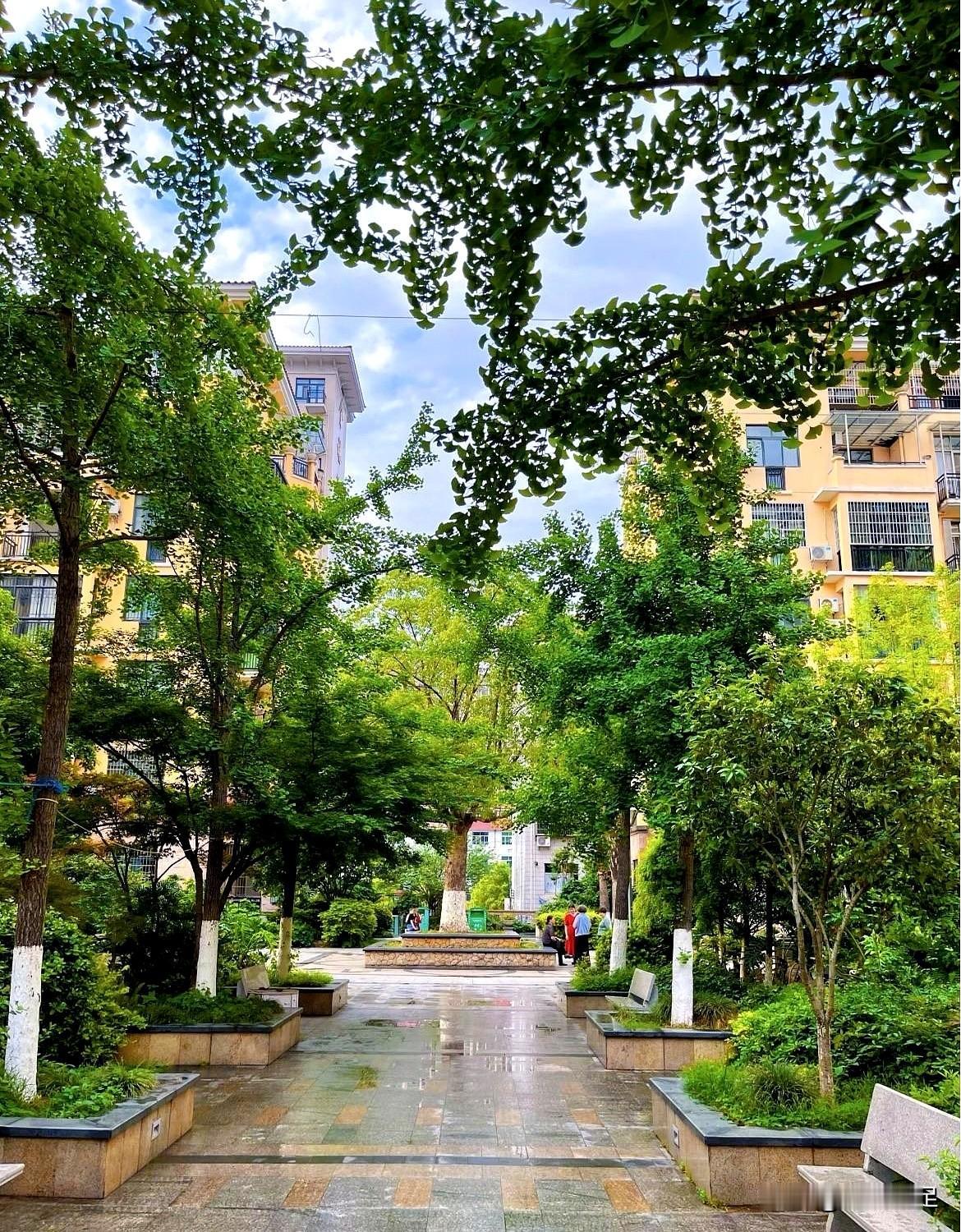 她把房子卖掉的那天，母亲转身花6万买了保险，像把门一摔，回声都凉。更早时，她把
