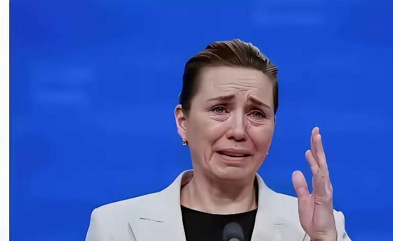 丹麦首相：特朗普先生，我今天真的是含着泪在全球面前说出这些话，因为格陵兰岛是丹麦