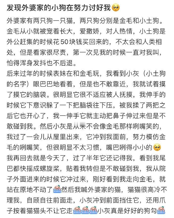 发现外婆家的小狗在努力讨好我🥺！！！