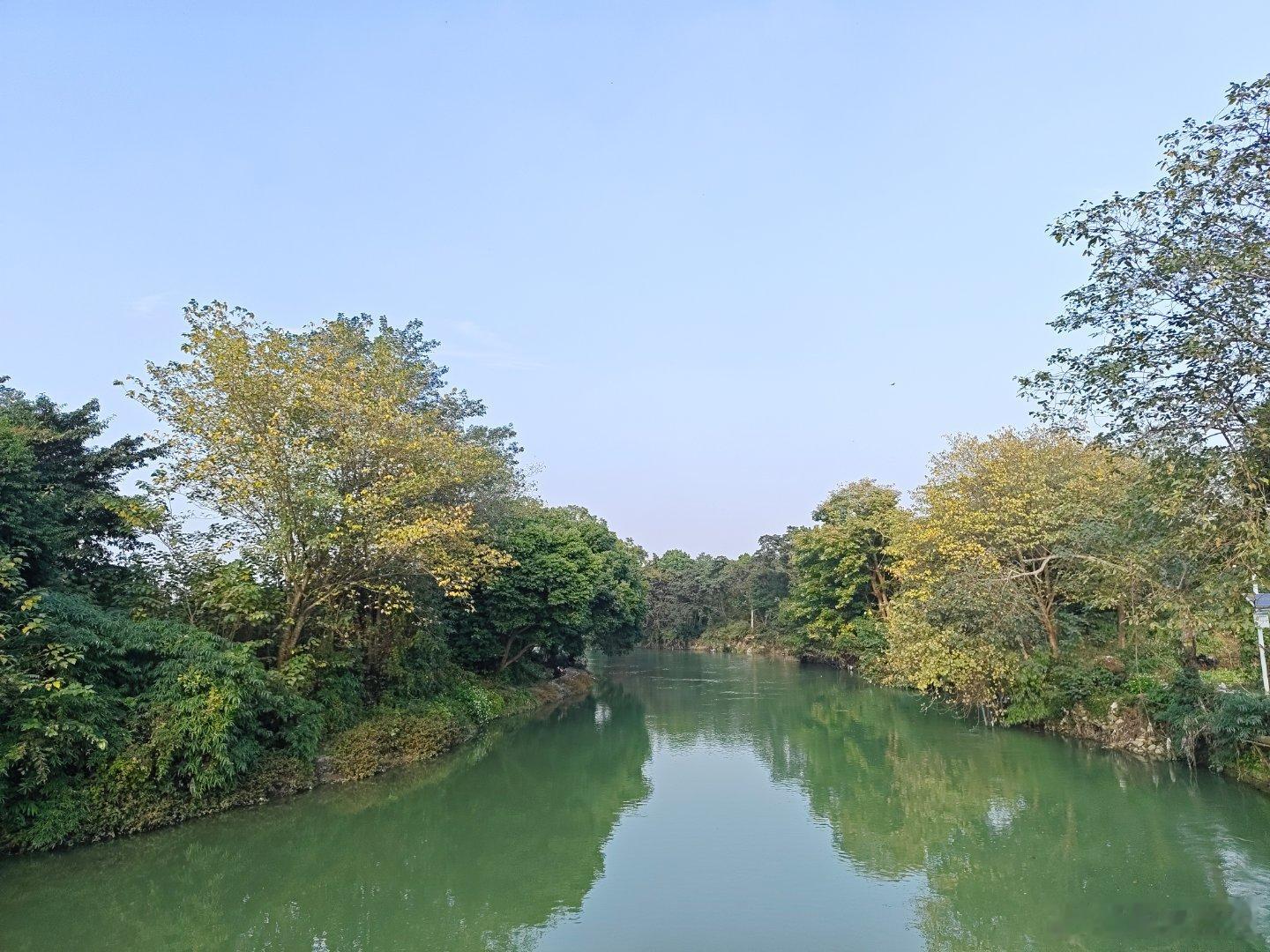 阳光正好，尘事无扰。佛瓜将老，野花妙俏。