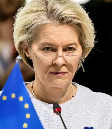 冯德莱恩美梦彻底破灭，欧盟最终还是选择了妥协！根据联合早报1月12日报道，欧盟在