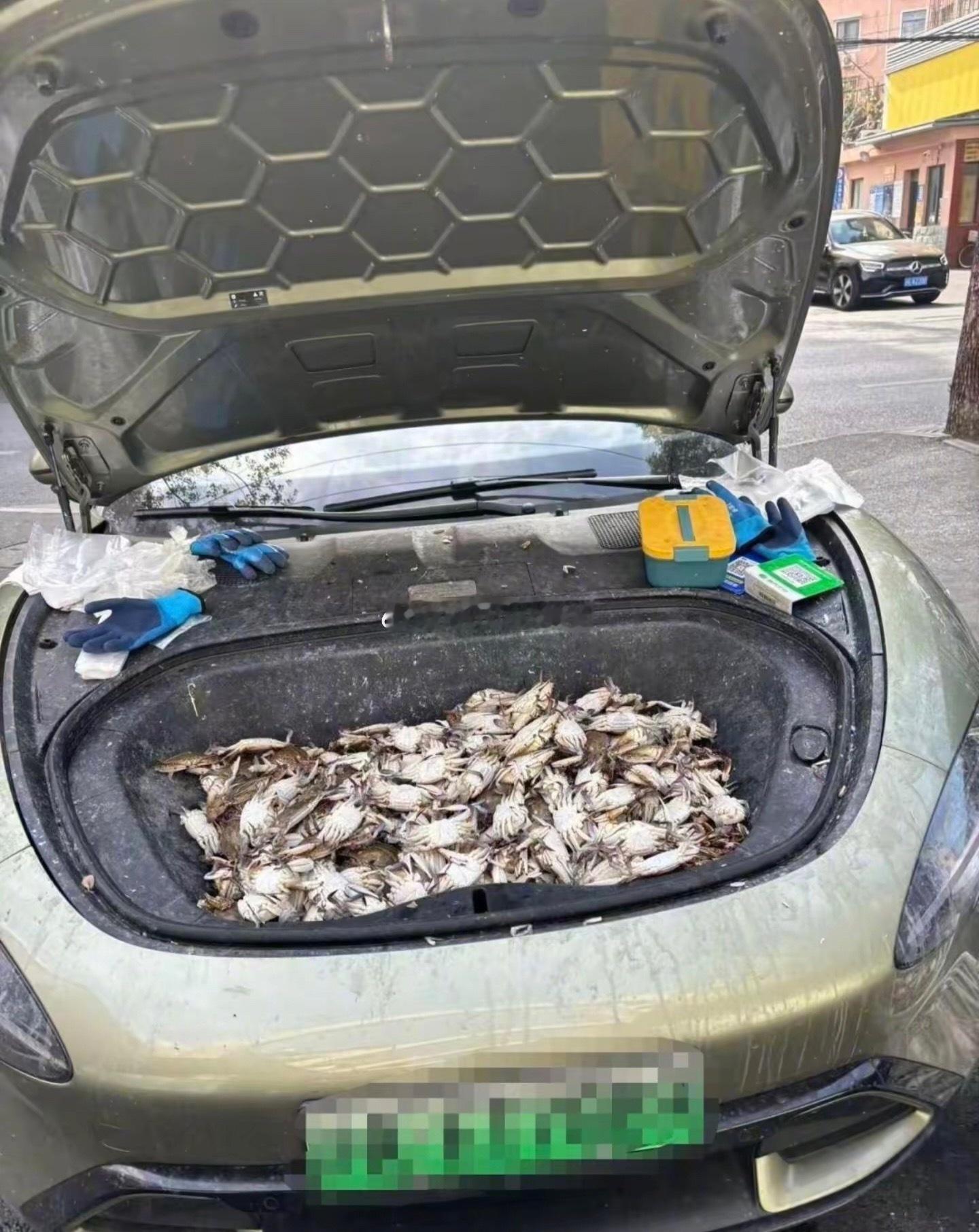 不得不说，这车主是个狠人！