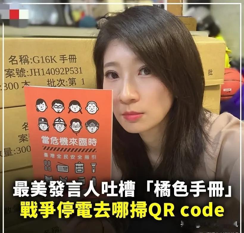 赖清德耗资逾4000万台币预算的《台湾全民安全指引》（台防手册）近日陆续发放，中