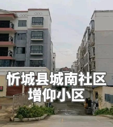 忻城持刀伤人，一家四口只剩1人在抢救！当地网友透露，疑似借贷纠纷，欠钱不还，被害