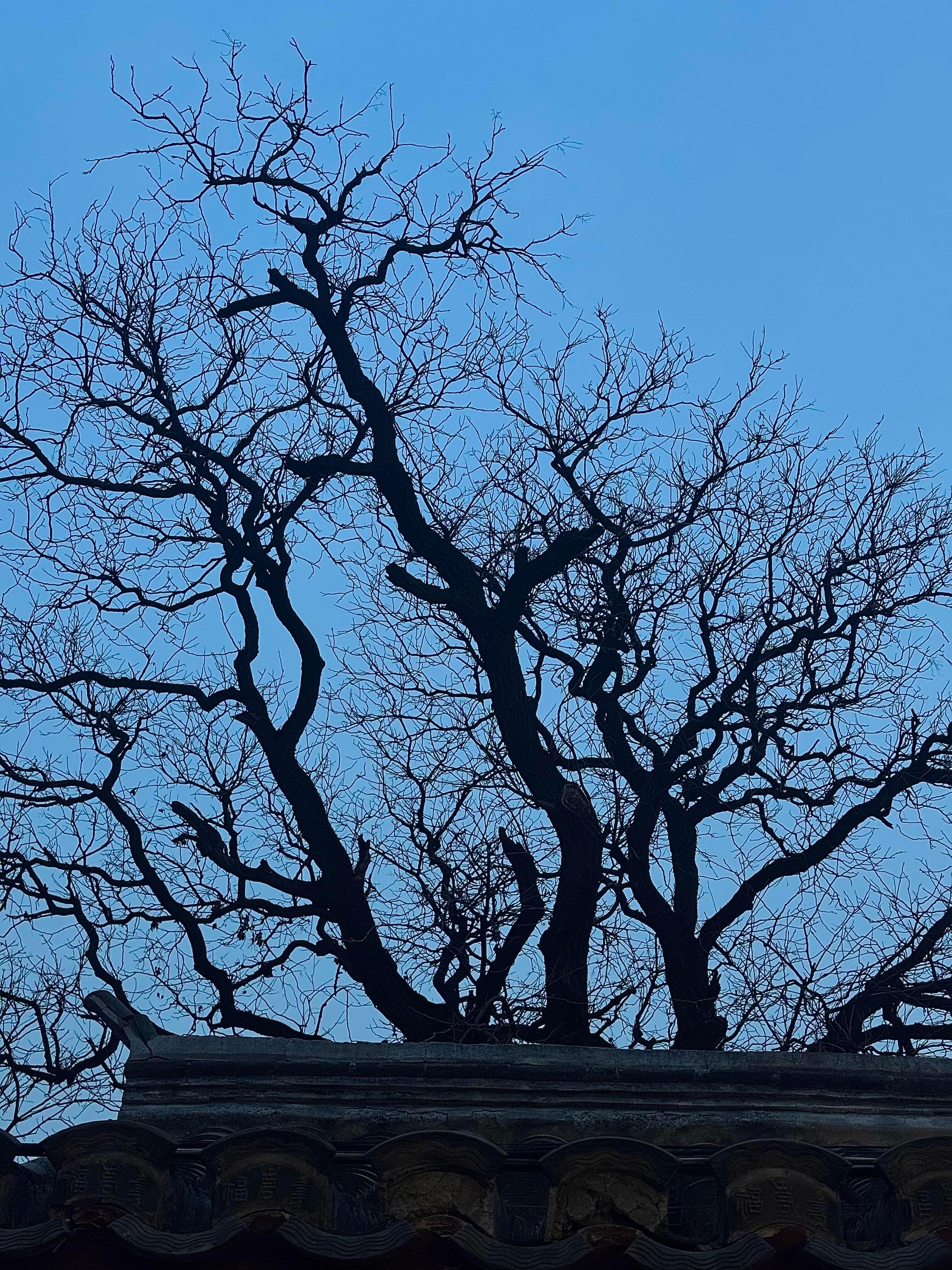 𝓗𝓪𝓹𝓹𝔂🩵💛不拧巴能自洽生活随心才会更快乐