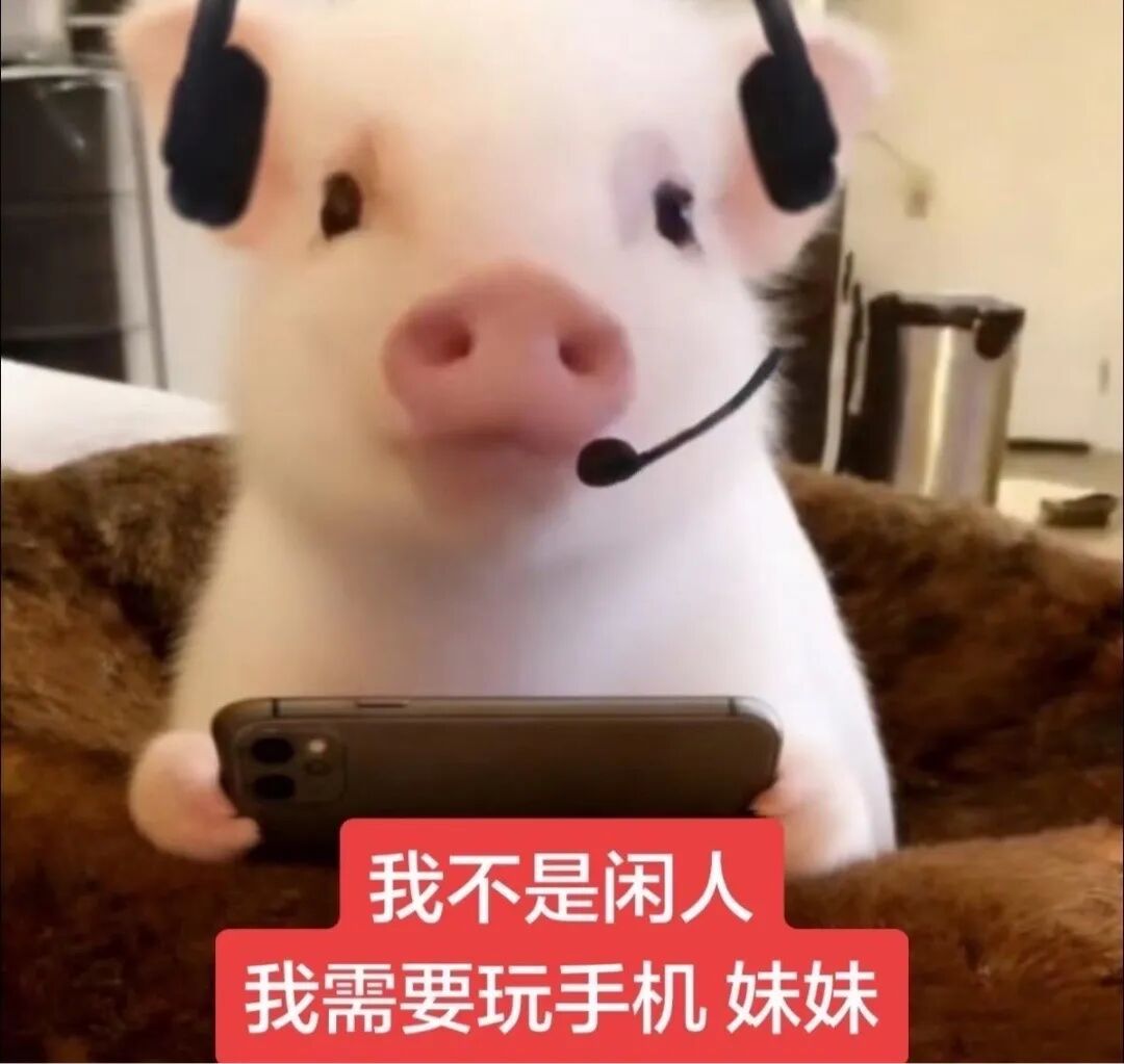 分享图片​​​