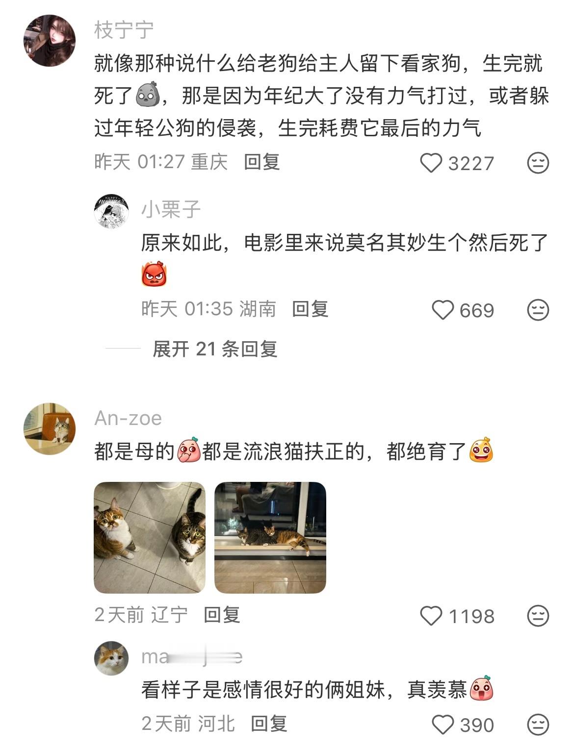 这就是为什么我们永远优先救助母的​​​