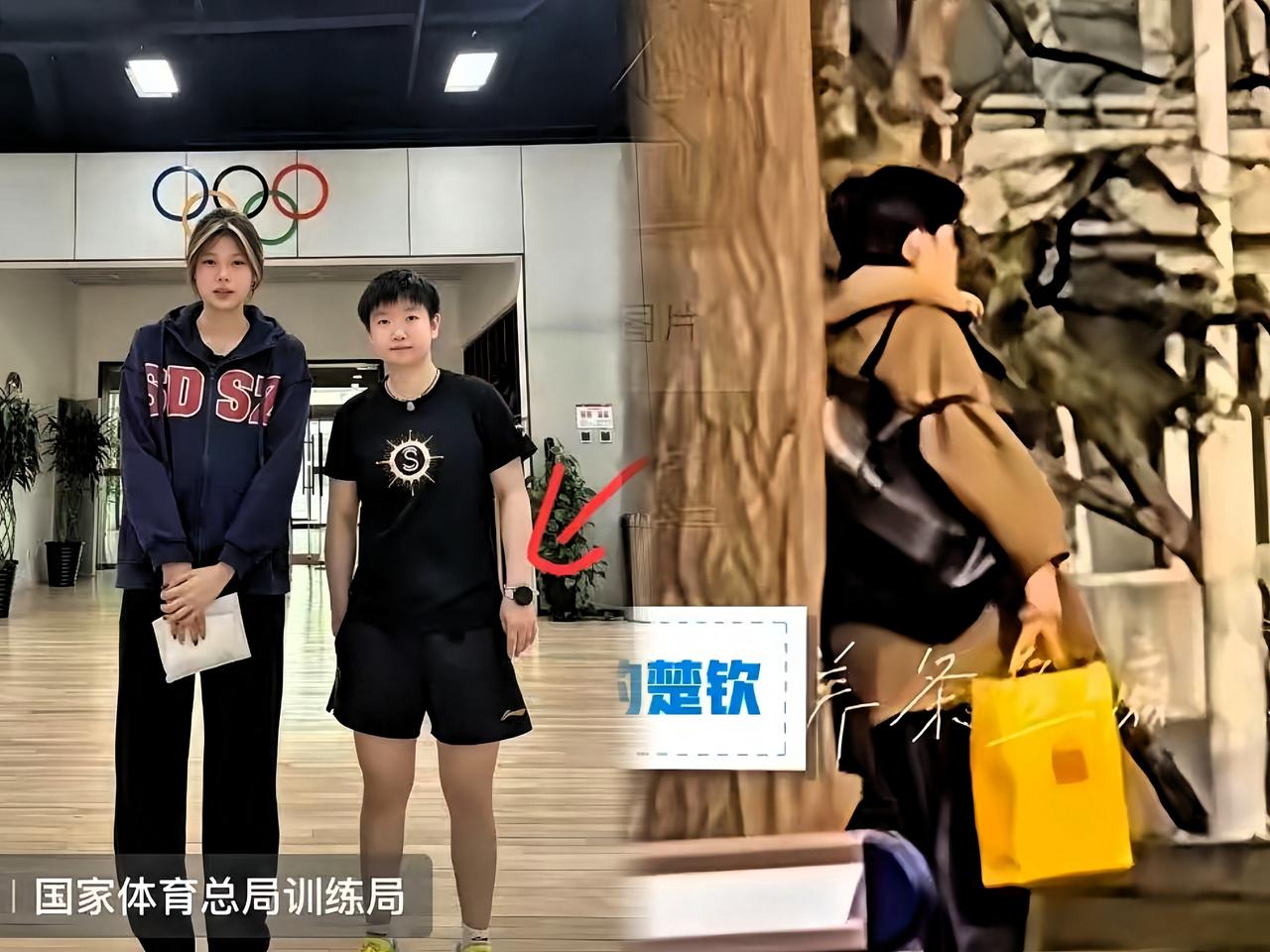 今天是双倍惊喜！莎莎头哥都回归训练啦！一大早刷到莎莎在训练馆的合照，下午