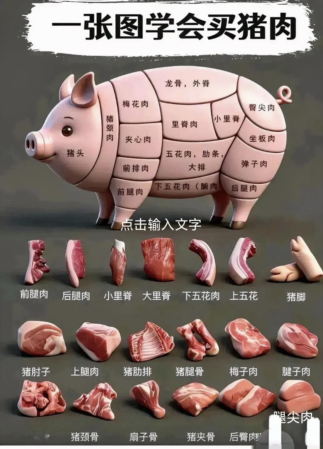 猪肉部位大全指南🐷一张图教你买猪肉，再也不怕挑错啦！🐷🐷🐷