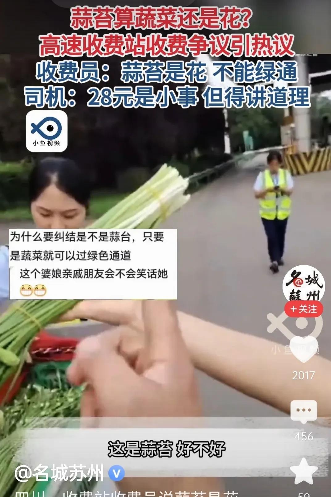 四川培育一种蒜苔不是蔬菜而是一种很奇葩的植物花，就像非说西红柿是水果不能炒鸡蛋一