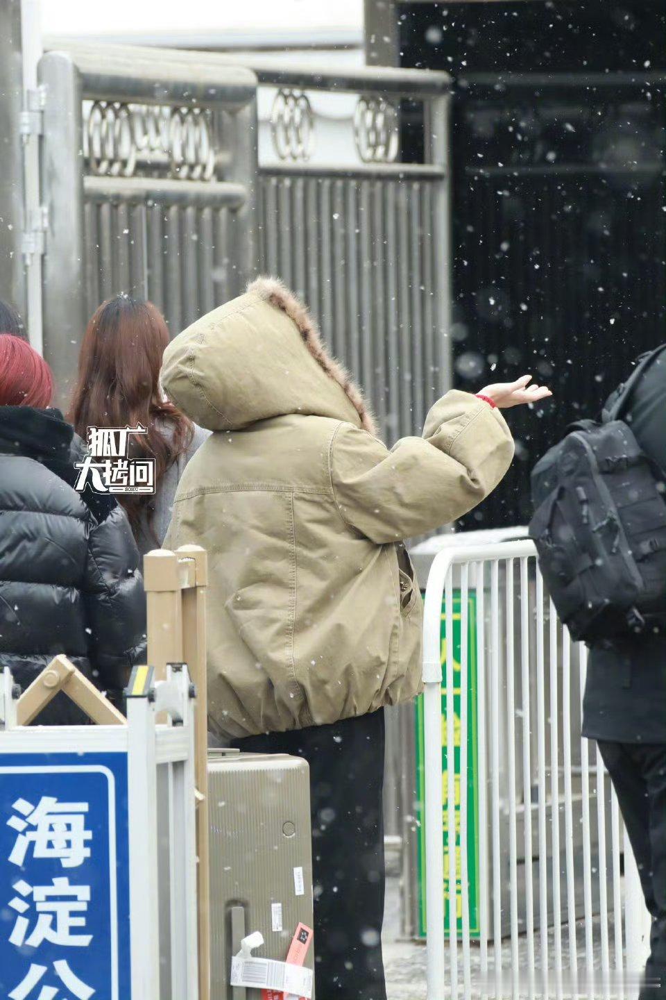 白鹿亮相今年马年春晚联排，捕捉到一只在用手接雪花的白鹿